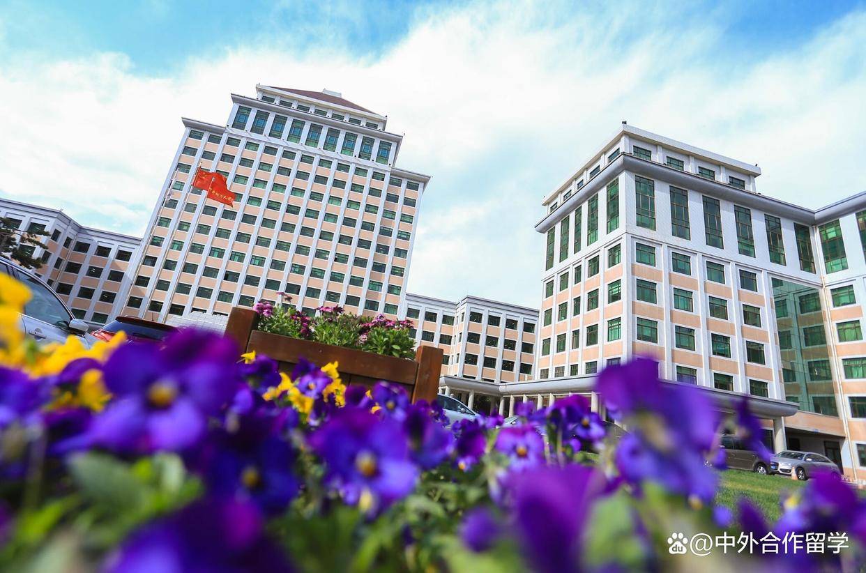 中央财经大学文凭(中央财经大学文凭图片)