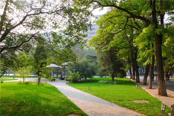 北京邮电大学文凭(北京邮电大学文凭报考要求)