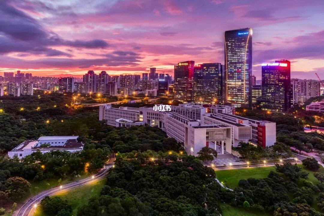 深圳大学(深圳大学介绍ppt)