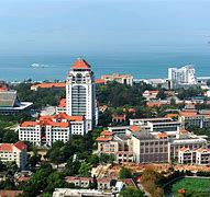 厦门大学(厦门大学分数线)