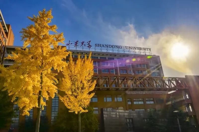 山东大学(山东大学排名)