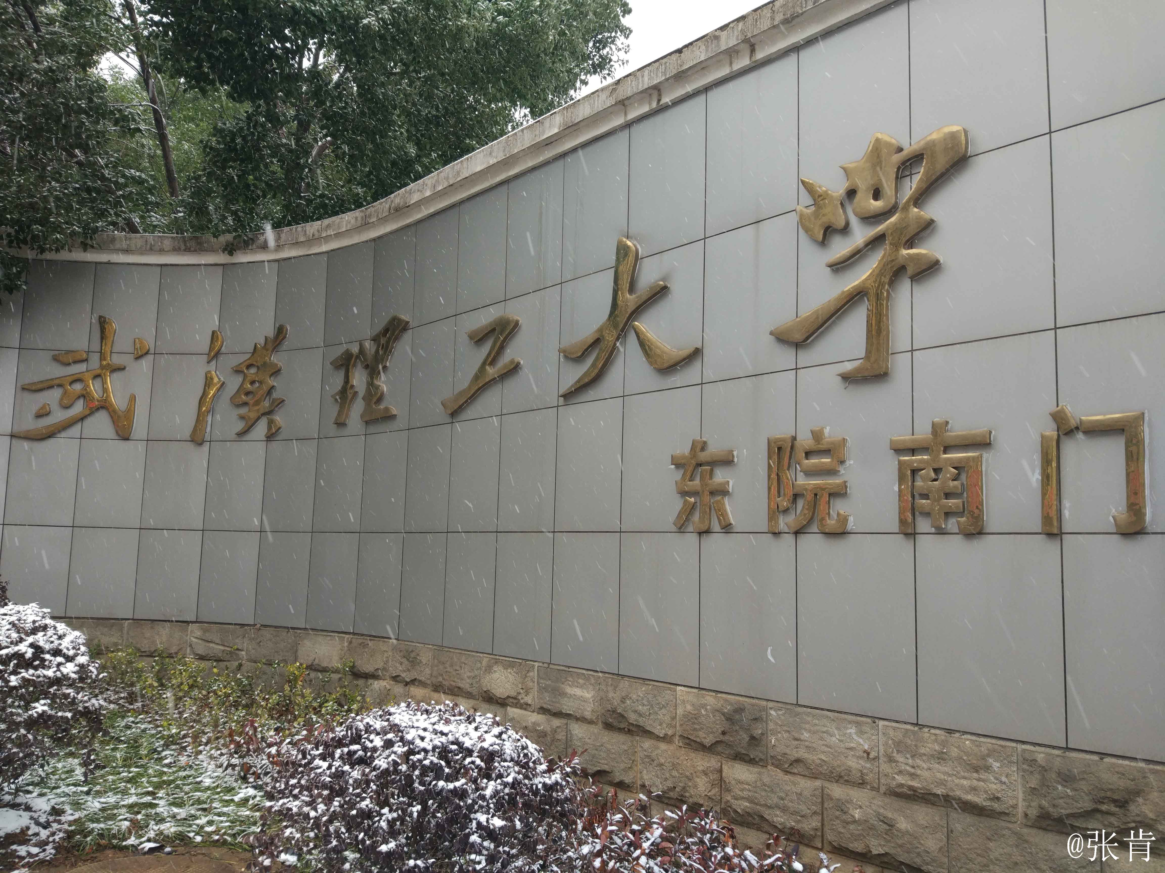 武汉理工大学毕业证(武汉理工大学毕业证查询)