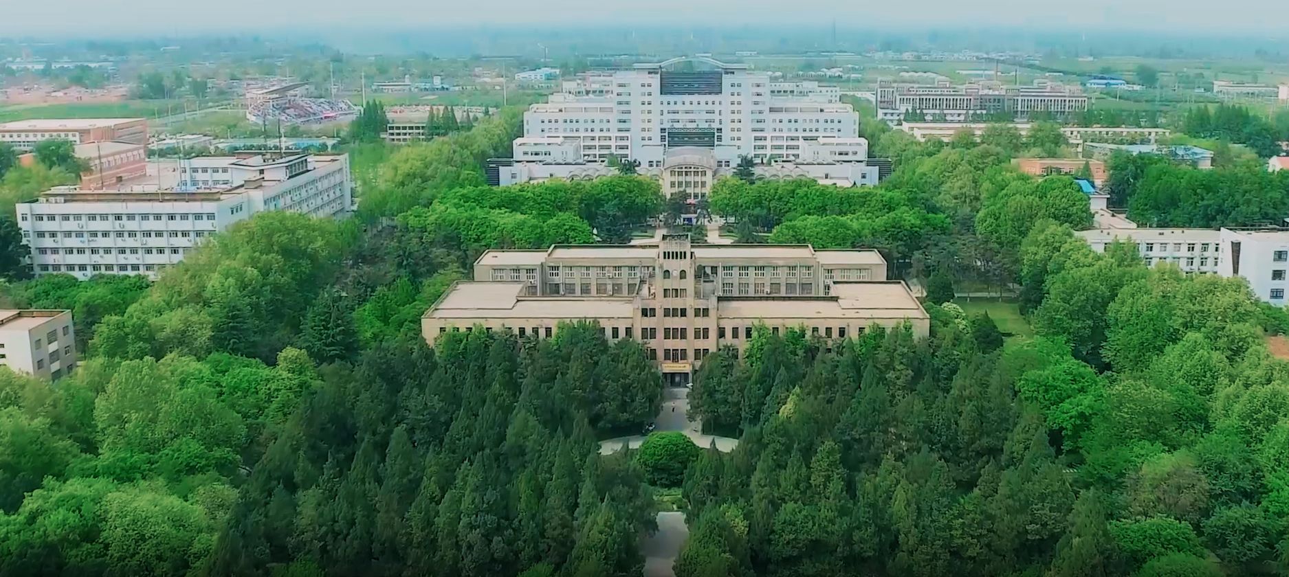 西北农林科技大学毕业证(西北农林科技大学毕业证图片)