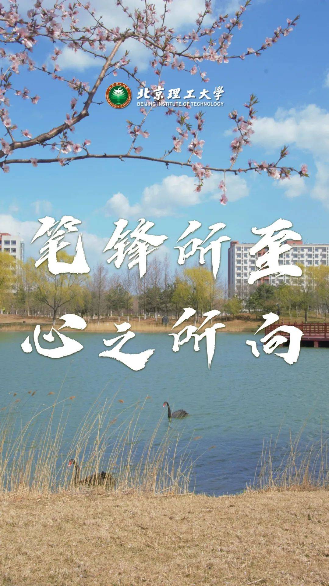 北京理工大学(北京理工大学官网)
