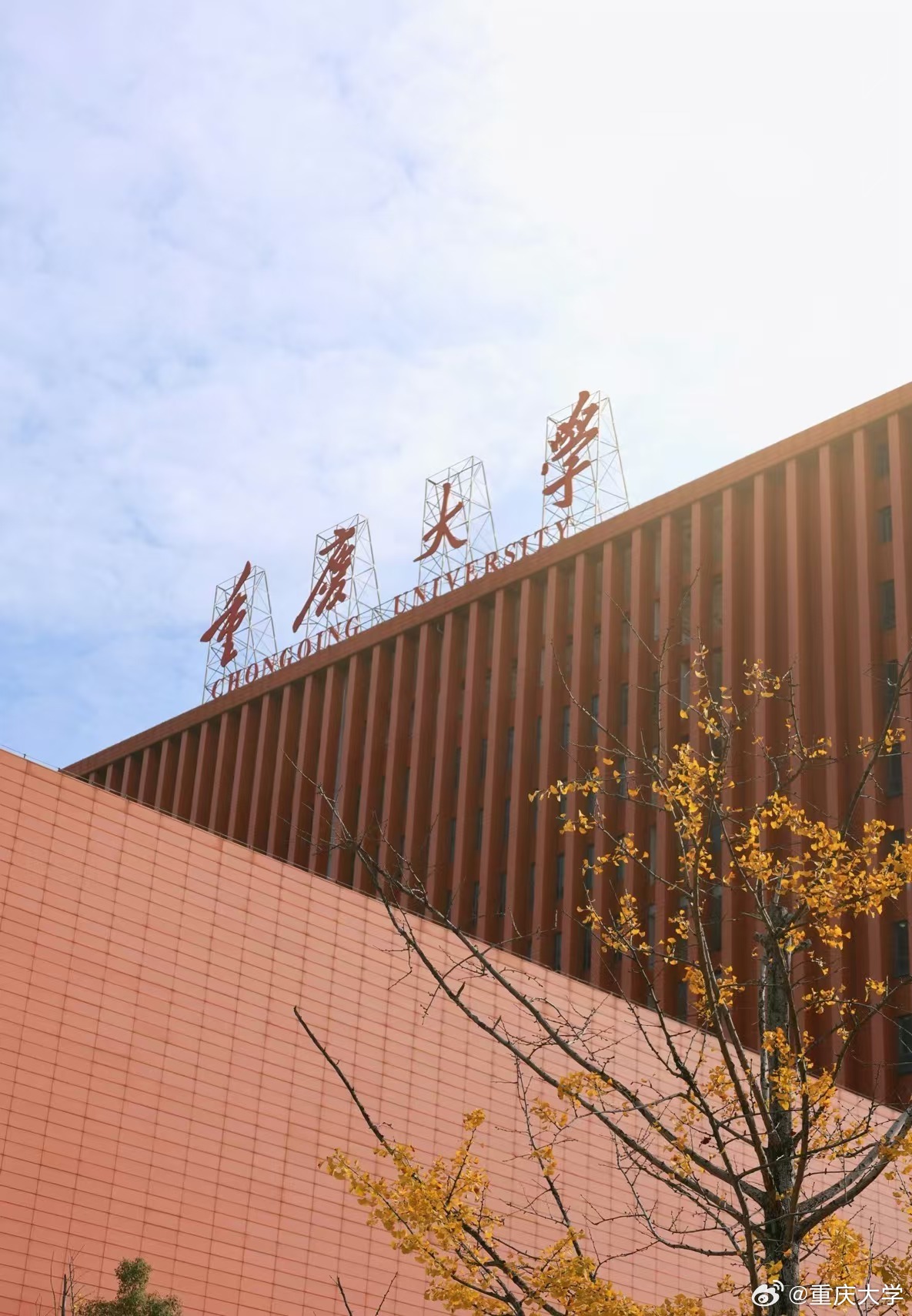 重庆大学(重庆大学排名)