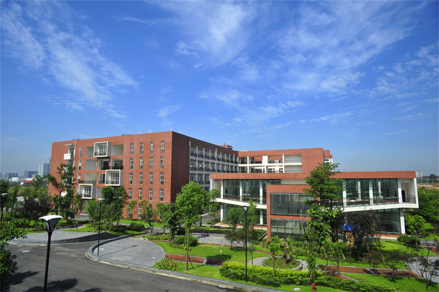 西南财经大学毕业证书图片