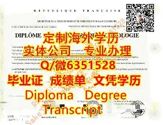 新疆大学文凭在企业能认可吗