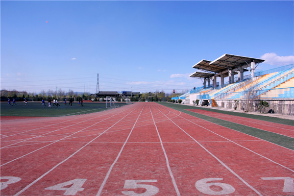 北京邮电大学本科生毕业去向