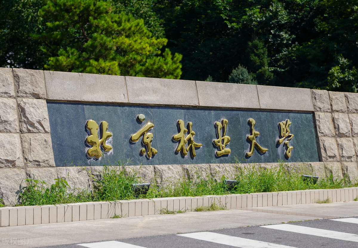 北京林业大学录取分数线