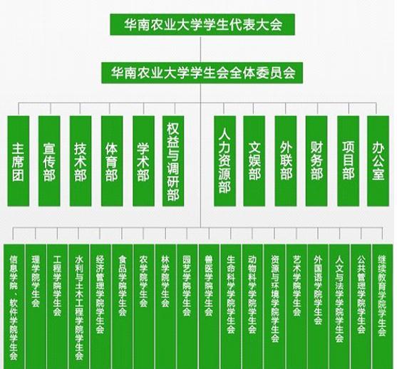 华南农业大学毕业证查询