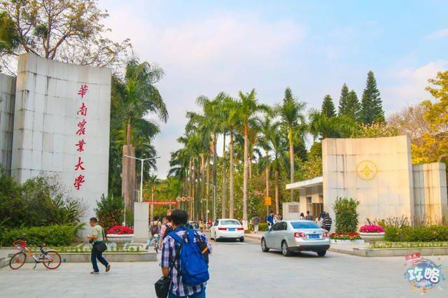 华南农业大学毕业证查询