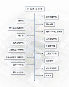东北林业大学毕业条件